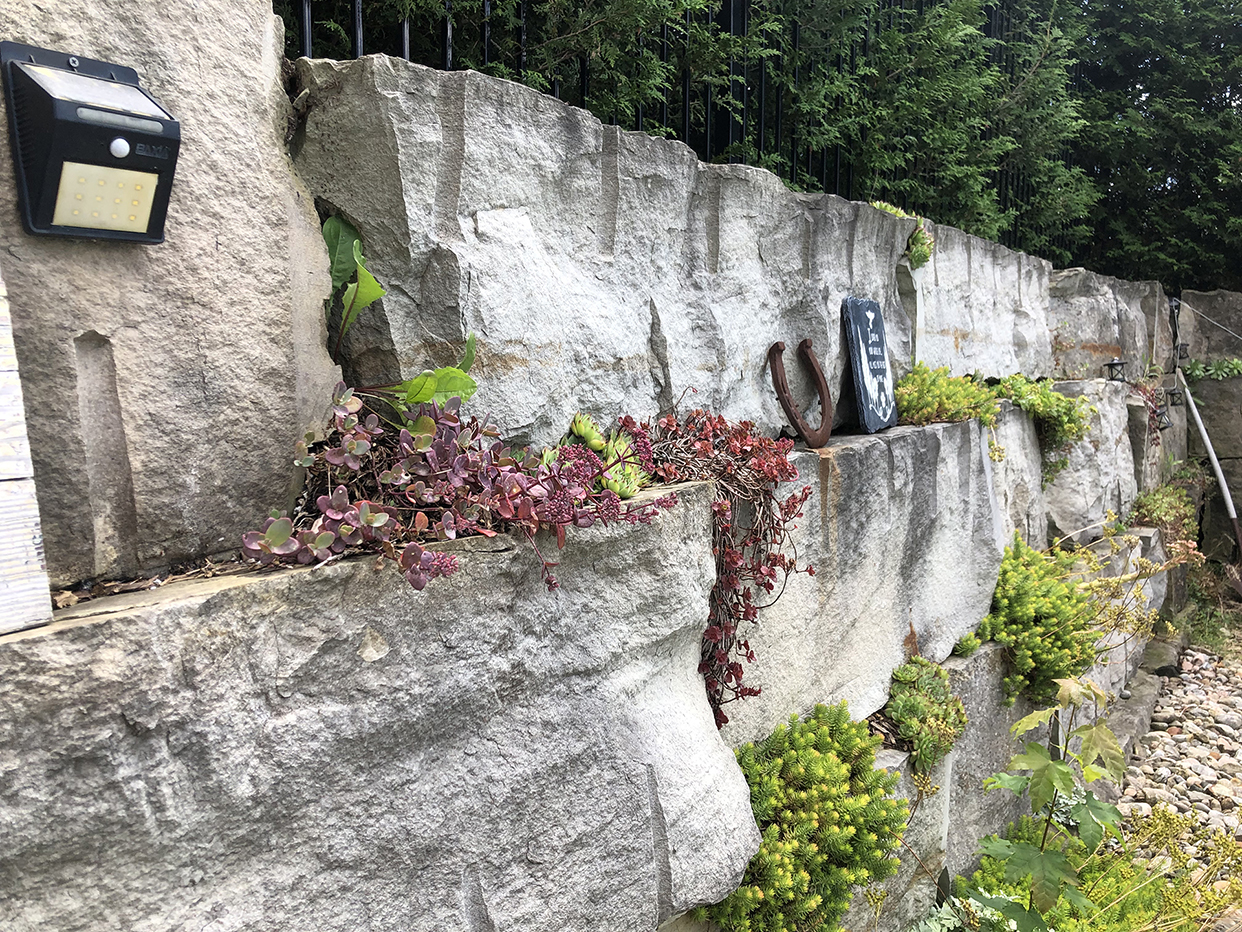 The Hidden Physics of Armour Stone: Why the Upfront Cost Saves Your Shoreline in 10 Years